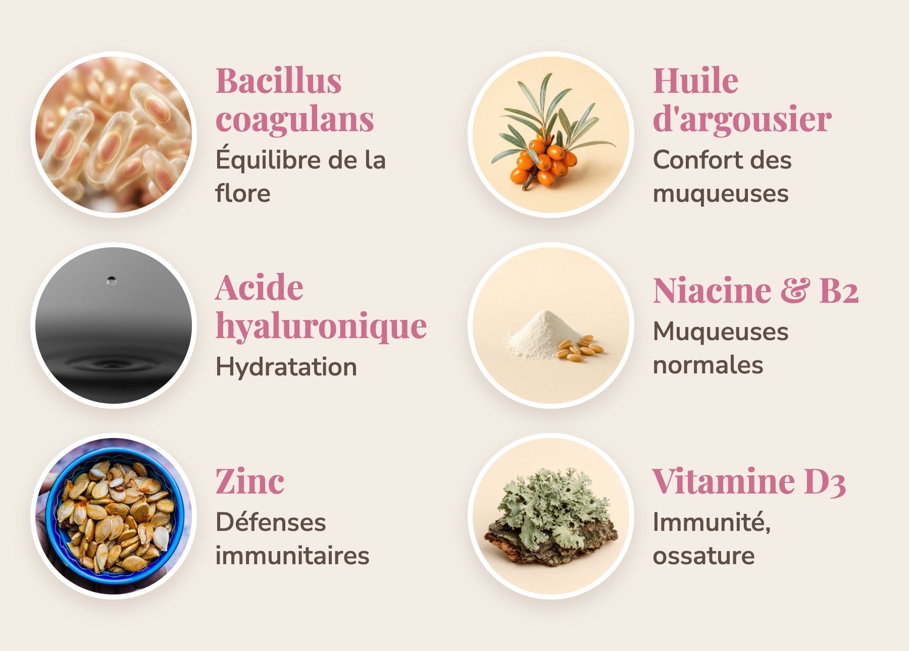 Les actifs de la formule Flore Intime : ferments, huile d'argousier, acide hyaluronique, niacine, vitamine B2, zinc et vitamine D3