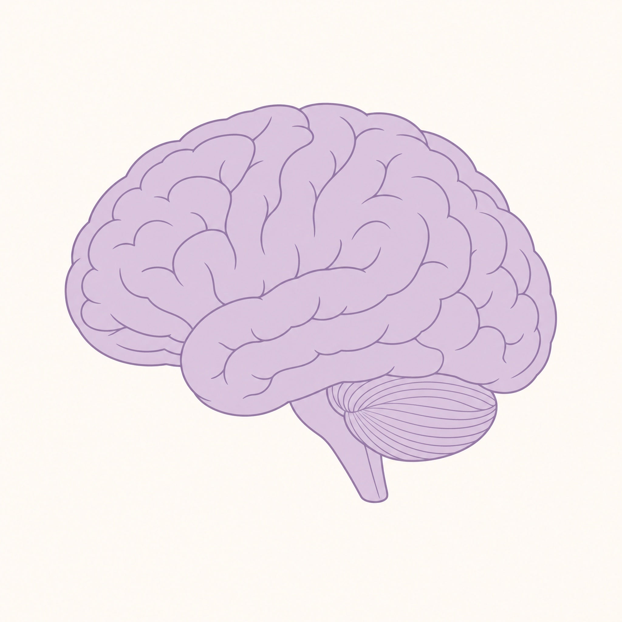Cerveau